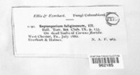 Image Associated With the Occurence